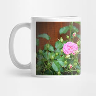 Pink Rose With Buds Mug